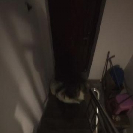 苏州扫街